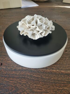 Objet de Décoration Parfumable
